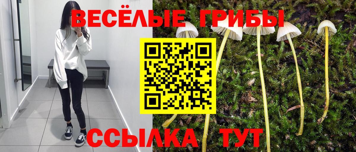 Галлюциногенные грибы MAGIC MUSHROOMS Самара