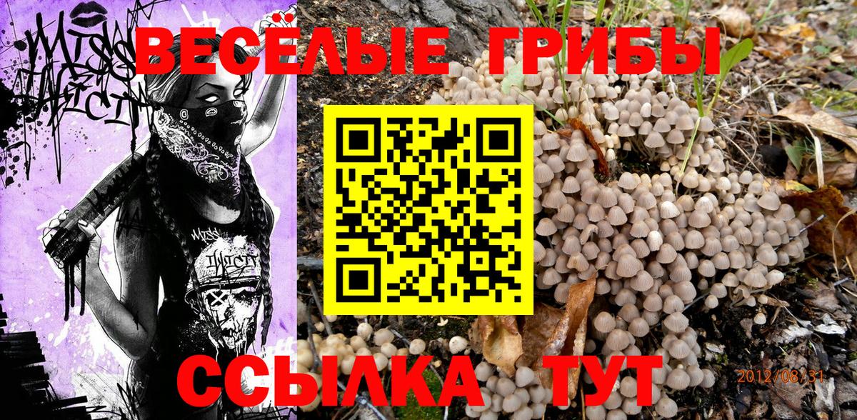 Галлюциногенные грибы прущие грибы  Вход с VPN  Псилоцибиновые грибы Psilocybine cubensis  где можно купить   Самара 